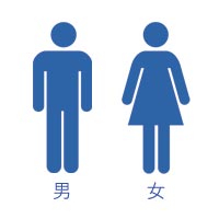 男女比率